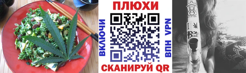 наркотики Новокубанск Cannafood конопля