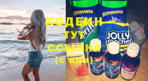 индика Бородино