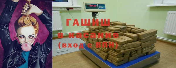 индика Бородино