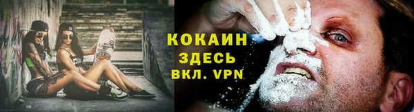 мдпв Бронницы