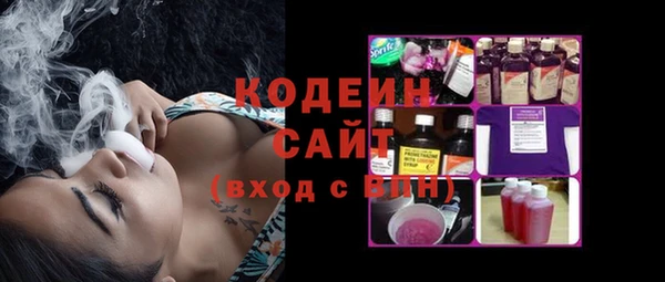 индика Бородино