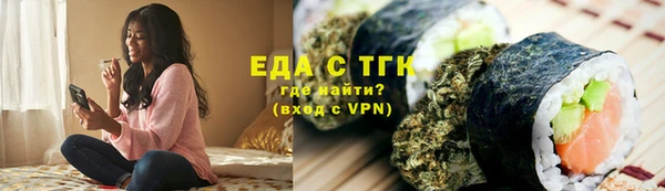 индика Бородино