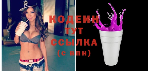 индика Бородино