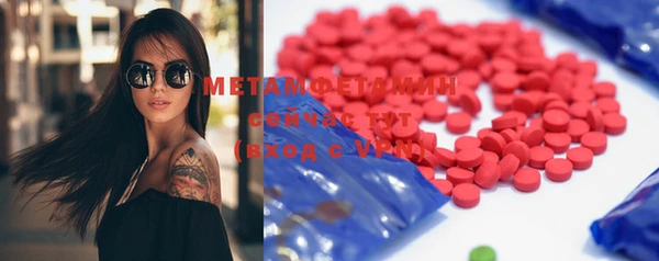 индика Бородино