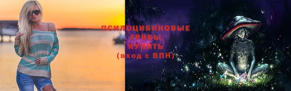 мдпв Бронницы