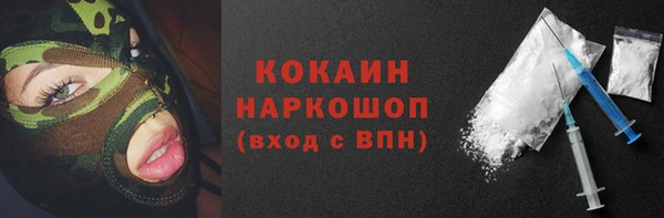 индика Бородино