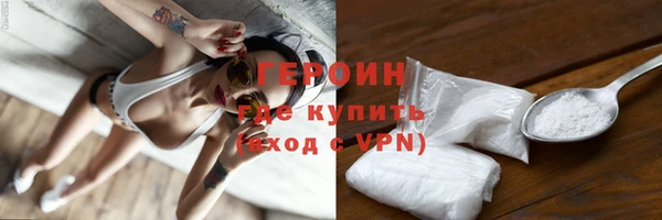 индика Бородино