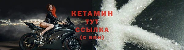 индика Бородино