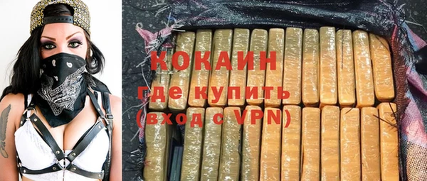 индика Бородино