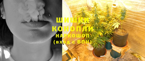 индика Бородино