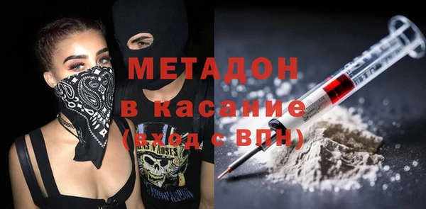 индика Бородино
