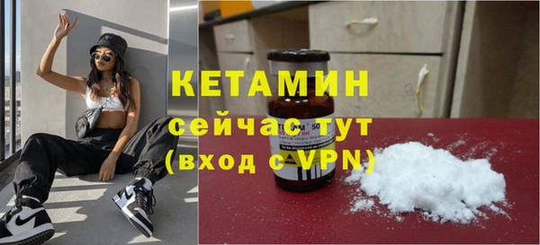 индика Бородино