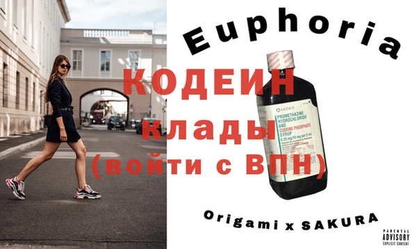 индика Бородино