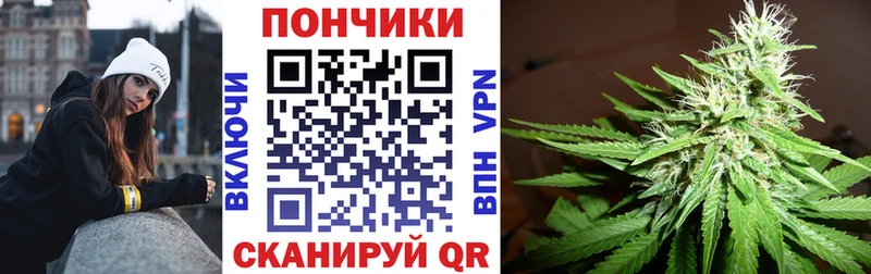 Канабис ГИДРОПОН  Новокубанск 